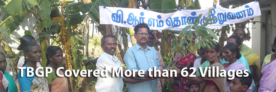 Tree plantation in trichy