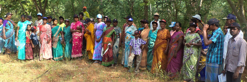 Tree plantation in trichy