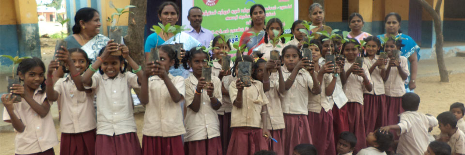 Tree plantation in trichy