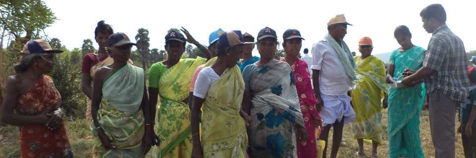 Tree plantation in trichy