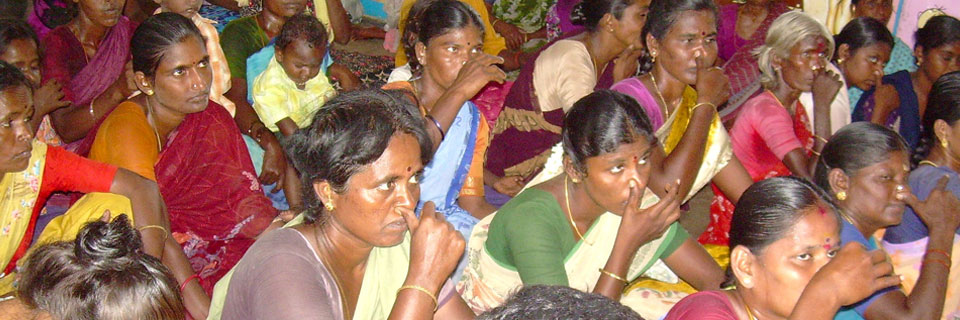 Tree plantation in trichy