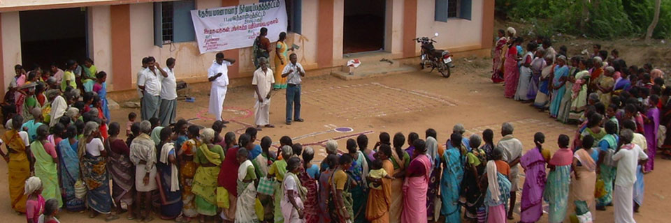 Tree plantation in trichy